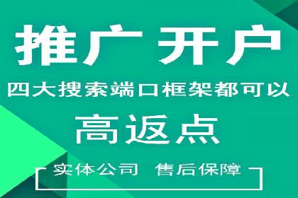 SEM推广案例：数据分析与优化